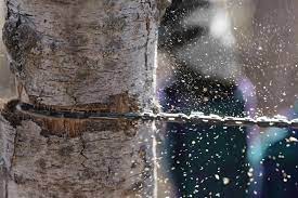 Load image into Gallery viewer, Coghlans Pocket Chainsaw
